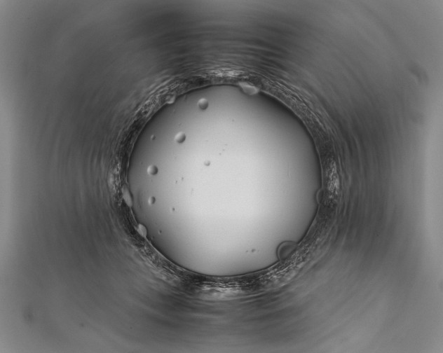 X0000112370559200908271321