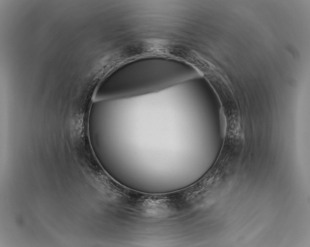 X0000112370560200908271321