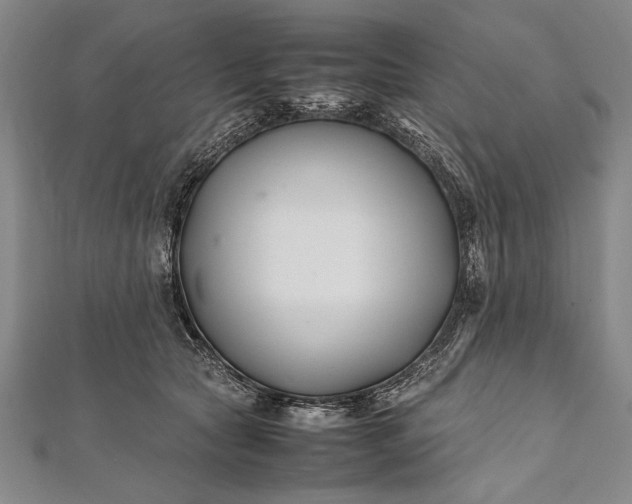 X0000112370561200908271321