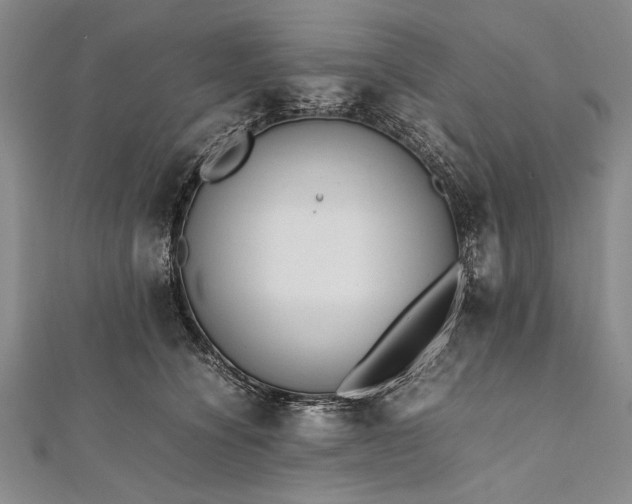 X0000112370564200908271321