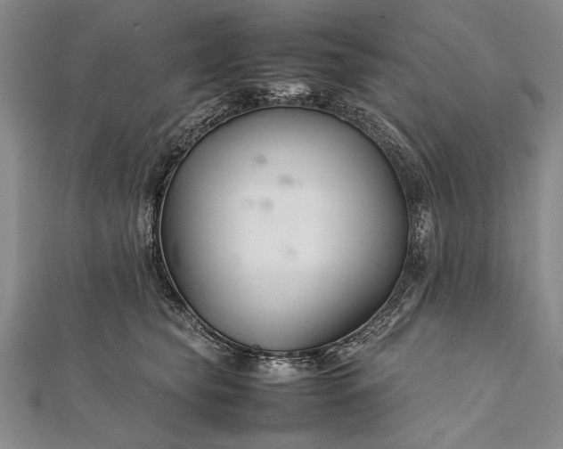 X0000112370565200908271321