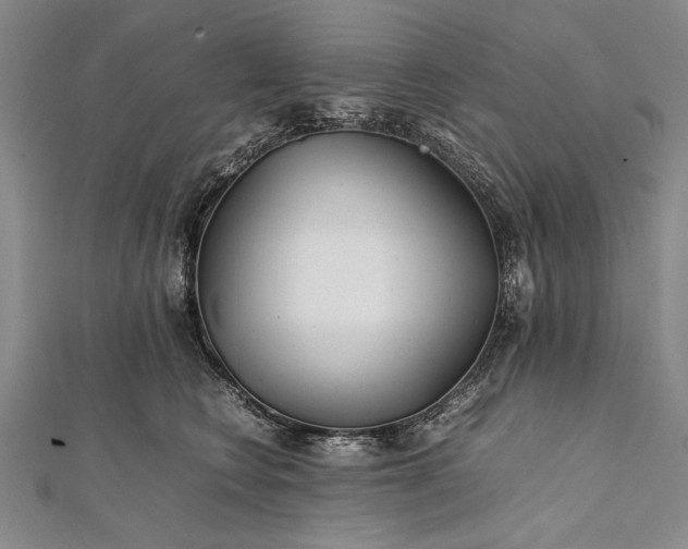 X0000112370566200908271321