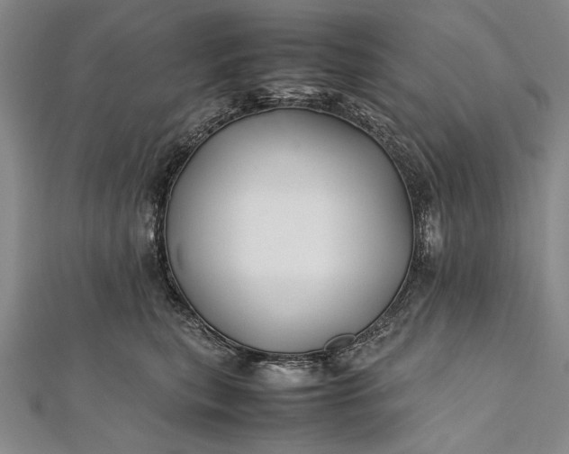 X0000112370567200908271321