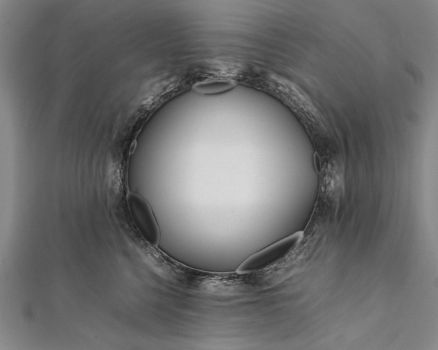 X0000112370568200908271321