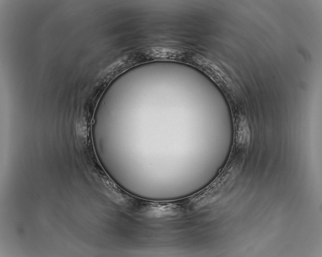 X0000112370569200908271321