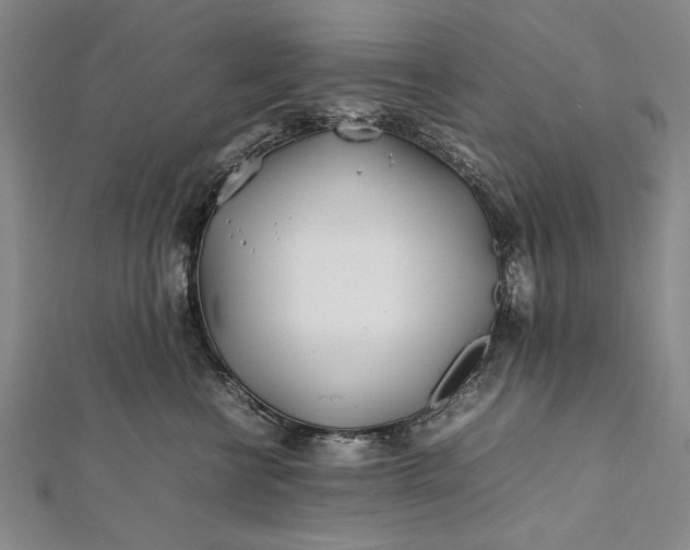 X0000112370570200908271321