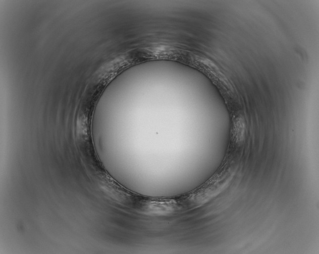 X0000112370571200908271321