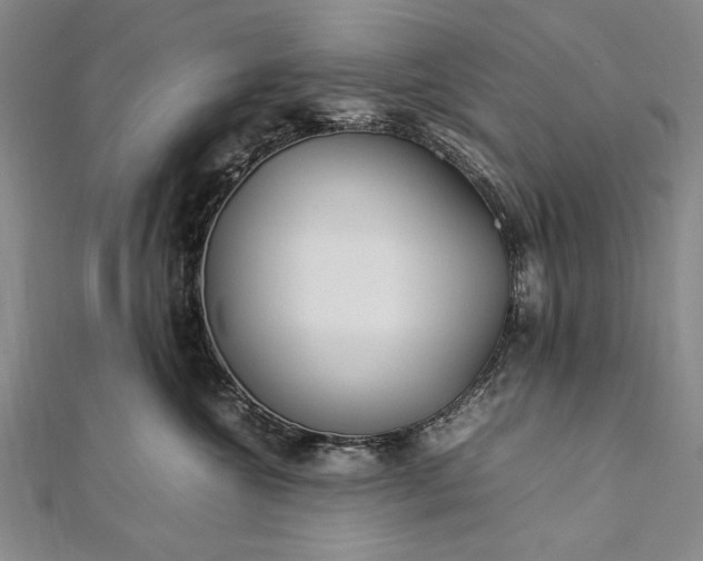 X0000112370572200908271321