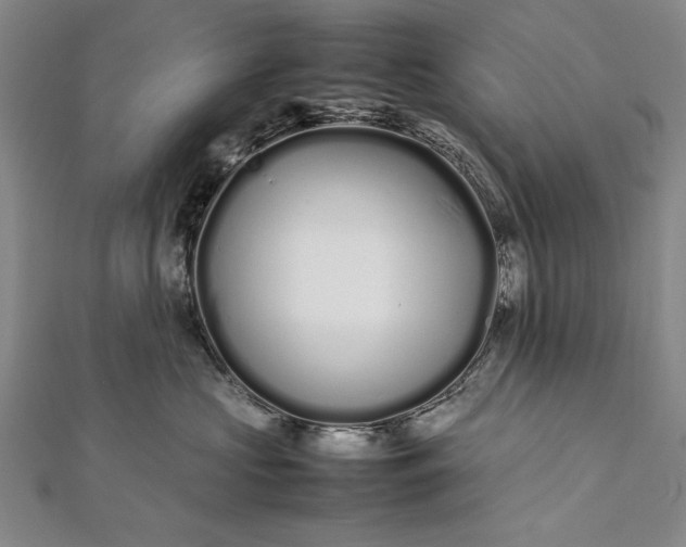 X0000112370573200908271321