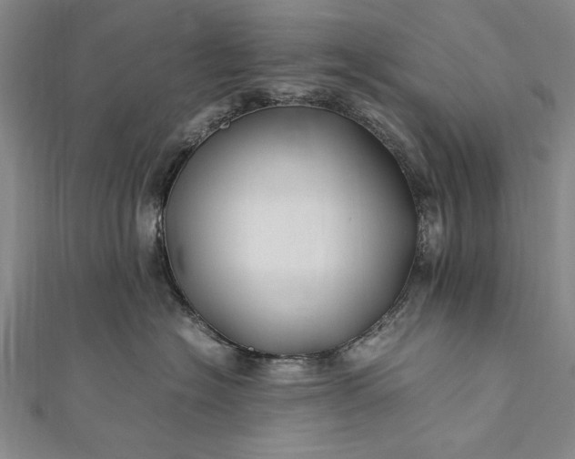 X0000112370574200908271321