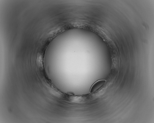 X0000112370575200908271321