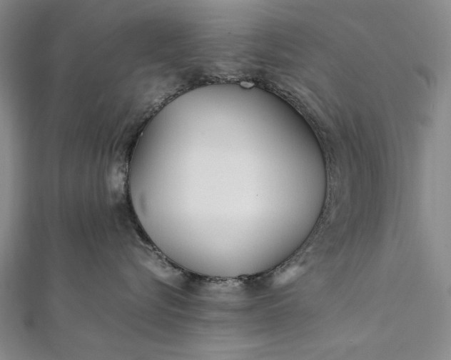 X0000112370576200908271321