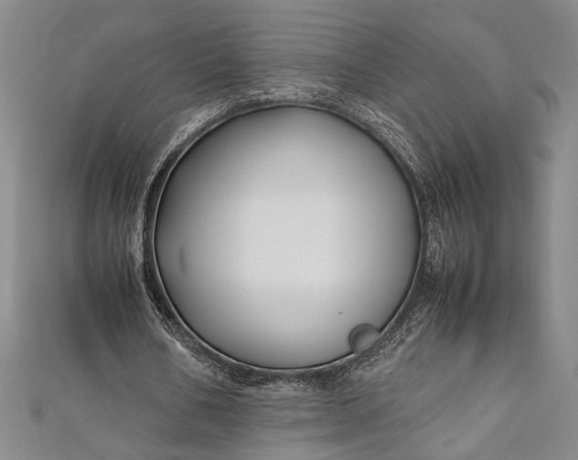 X0000112370578200908271320