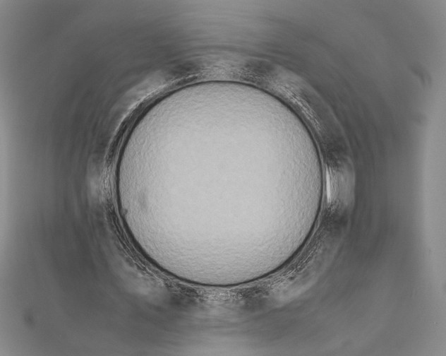 X0000112370579200908271320