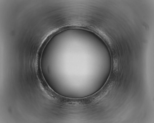 X0000112370580200908271320