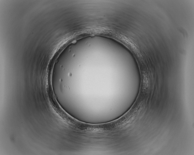 X0000112370582200908271320