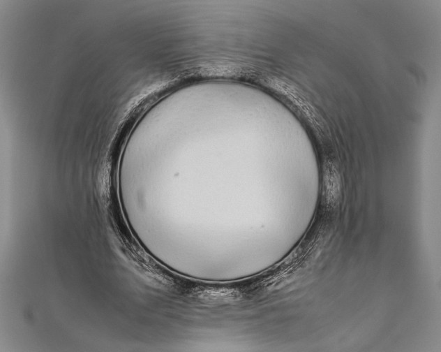 X0000112370583200908271320