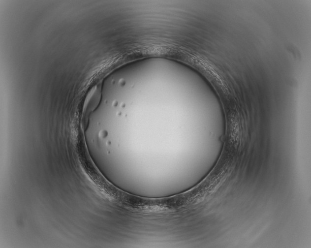 X0000112370586200908271320