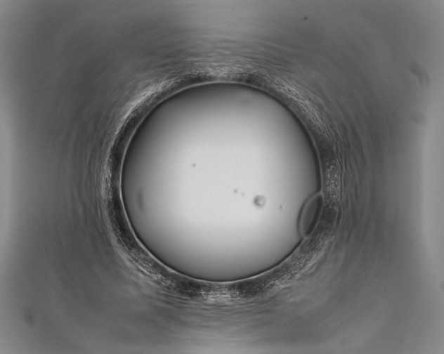 X0000112370587200908271320