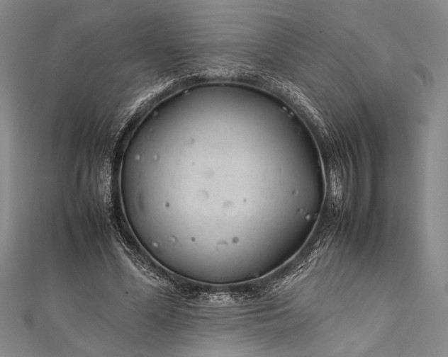 X0000112370588200908271320