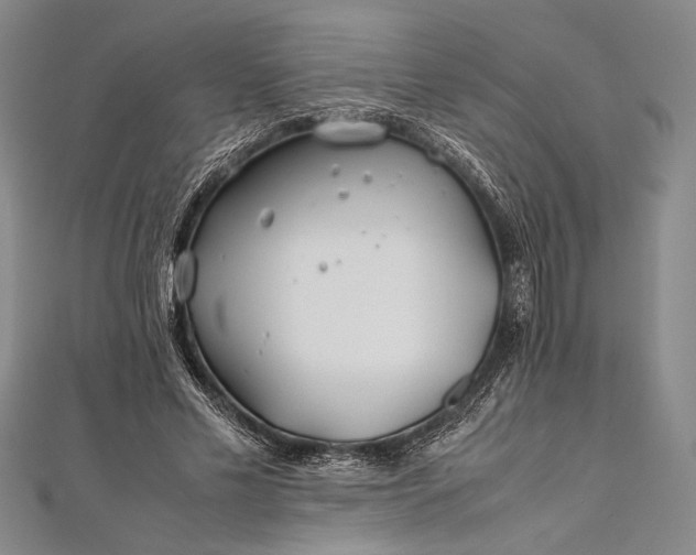 X0000112370589200908271320