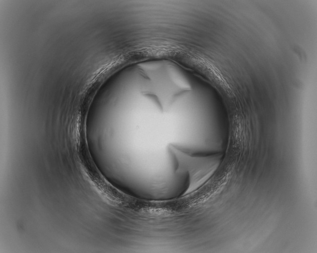 X0000112370590200908271320