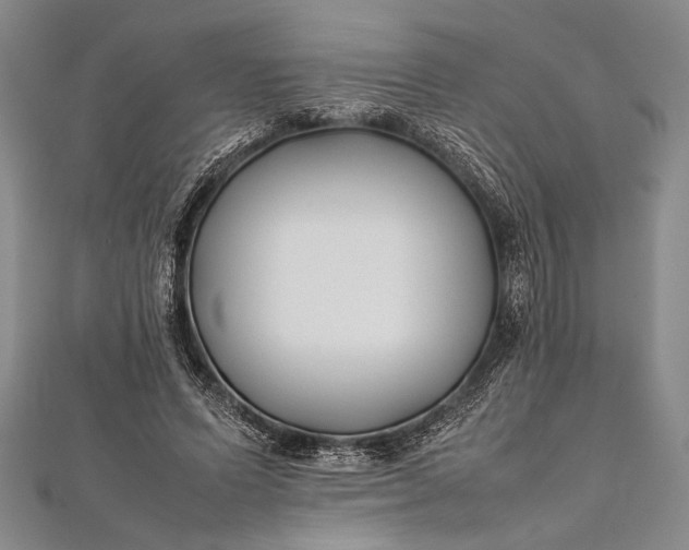 X0000112370591200908271320