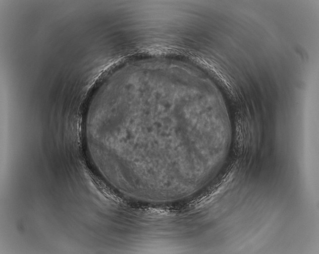 X0000112370592200908271320