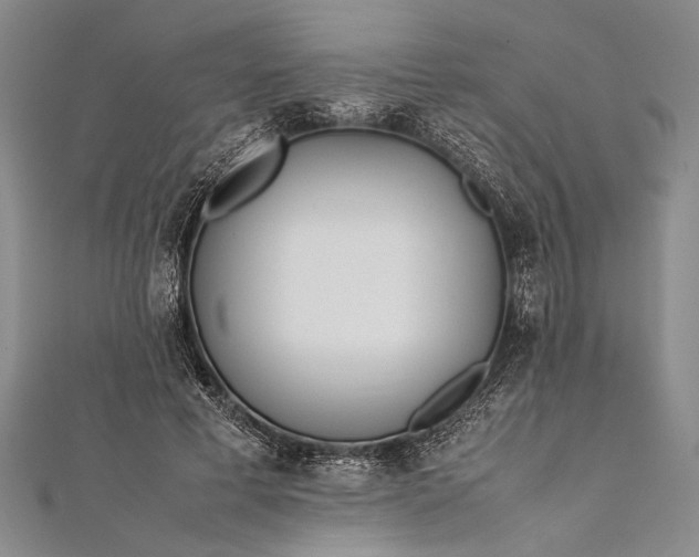 X0000112370593200908271320