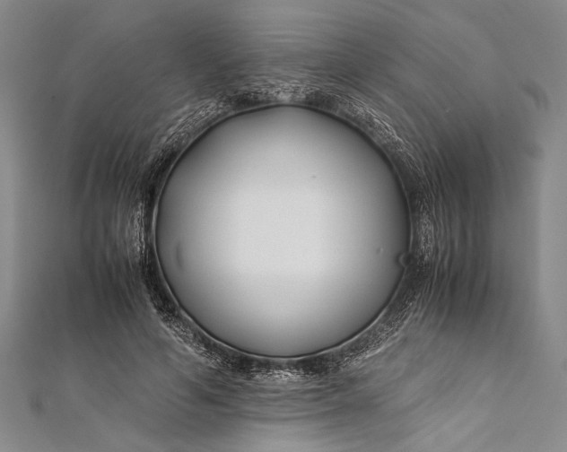 X0000112370594200908271320