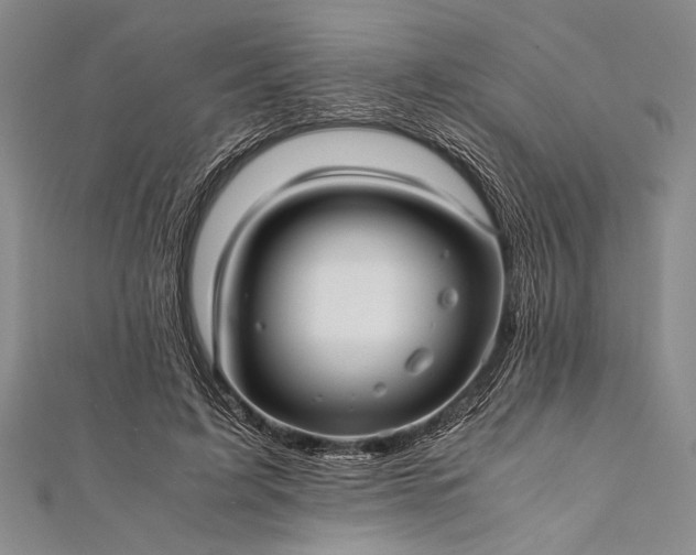 X0000112370595200908271320