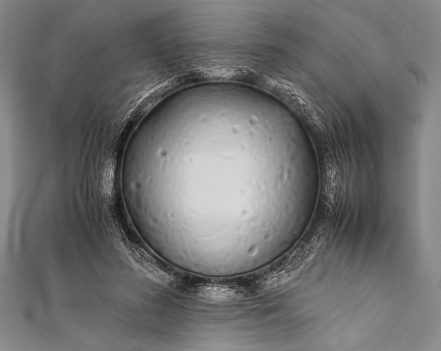 X0000112370596200908271320