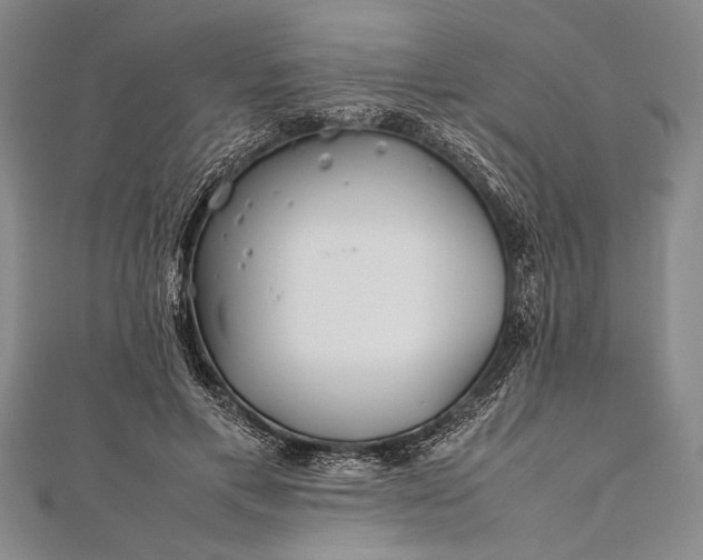 X0000112370597200908271320