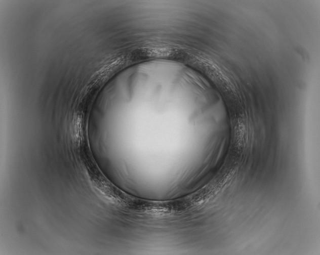 X0000112370598200908271320