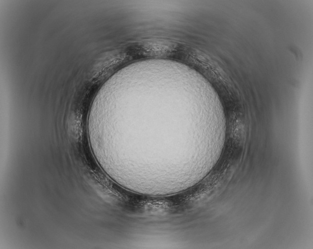 X0000112370599200908271320