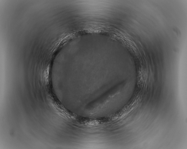 X0000112370600200908271320