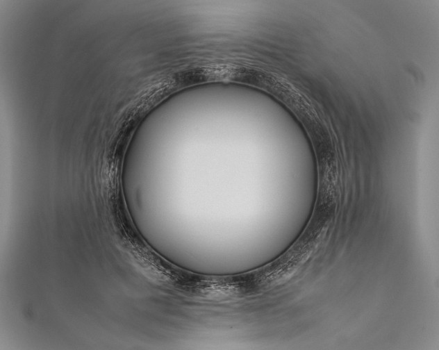 X0000112370601200908271320