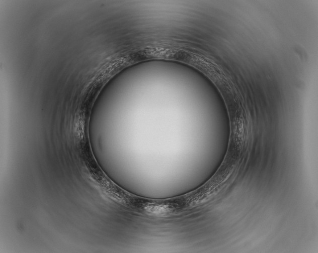 X0000112370602200908271320