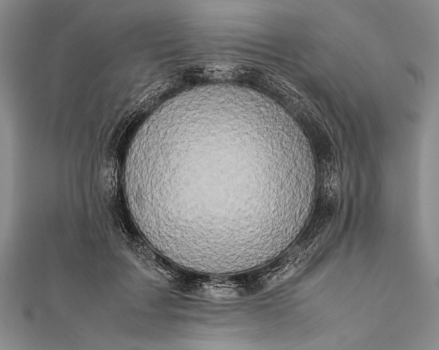 X0000112370603200908271320