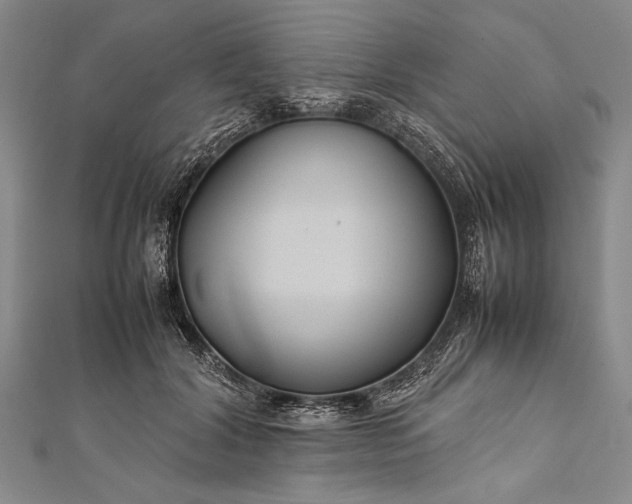 X0000112370604200908271320