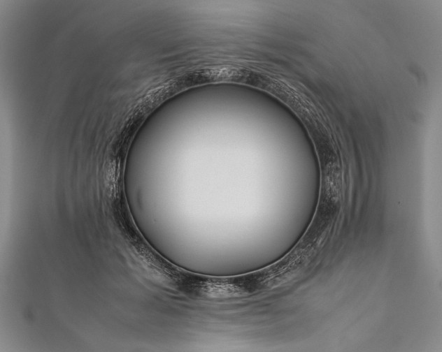 X0000112370605200908271320