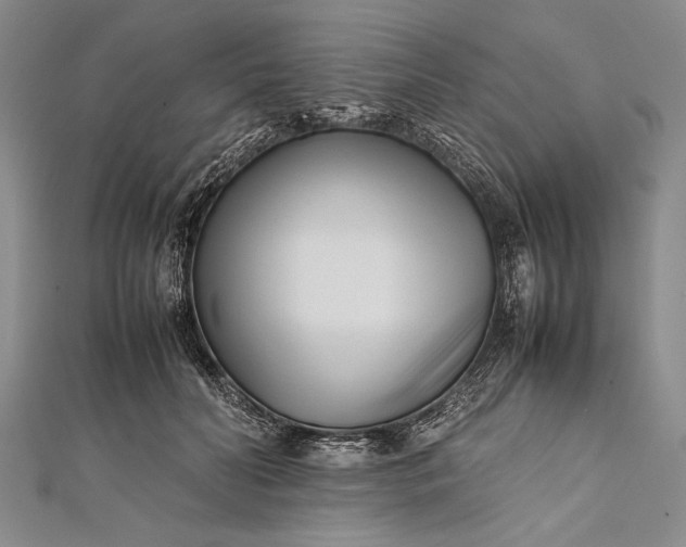 X0000112370606200908271320