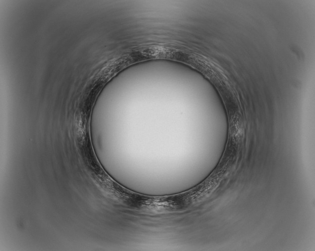 X0000112370607200908271320