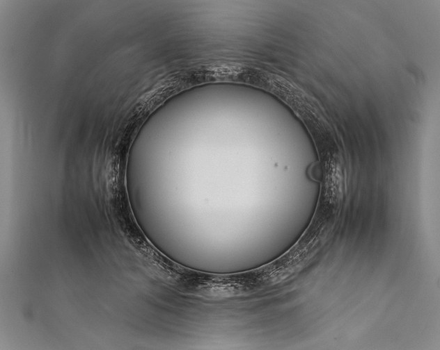 X0000112370608200908271320