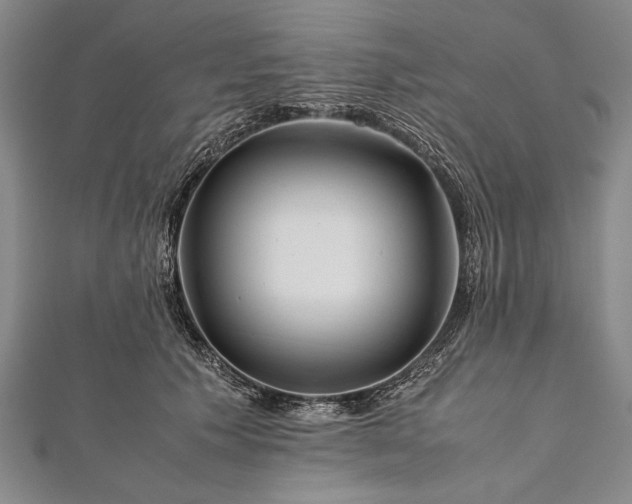 X0000112370609200908271320