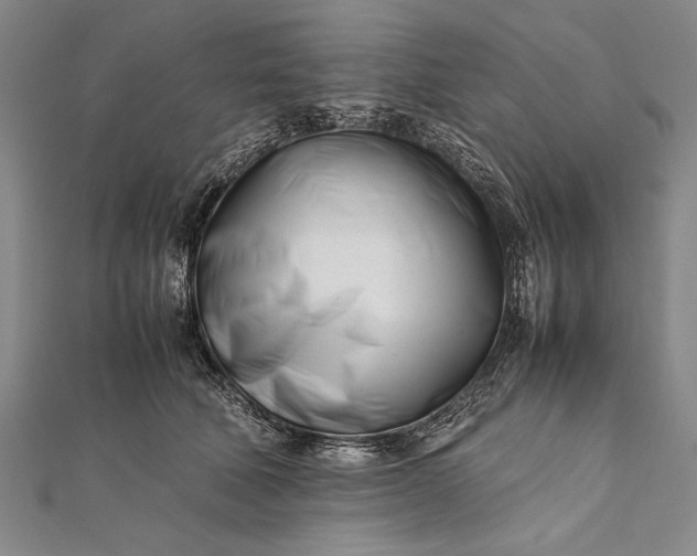 X0000112370610200908271320