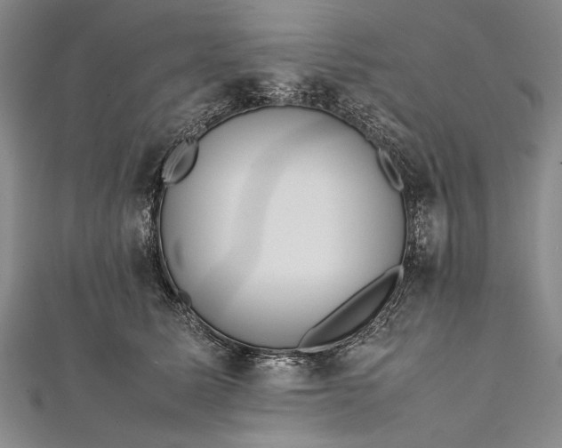 X0000112370611200908271320