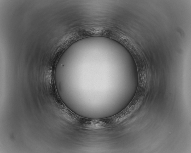 X0000112370612200908271320