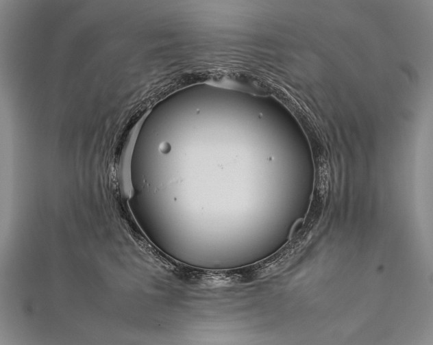 X0000112370613200908271320