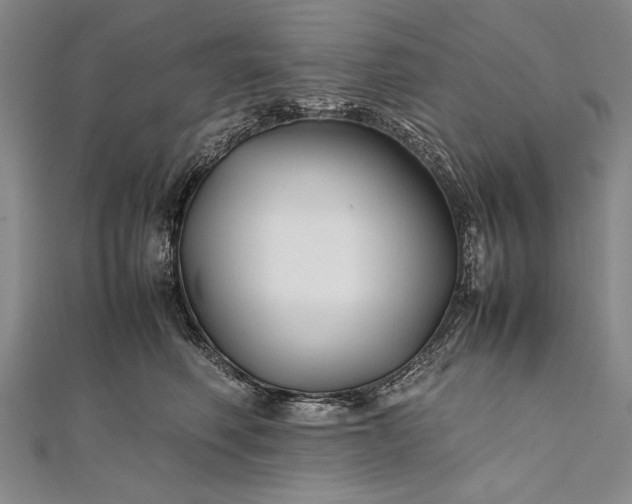 X0000112370614200908271320